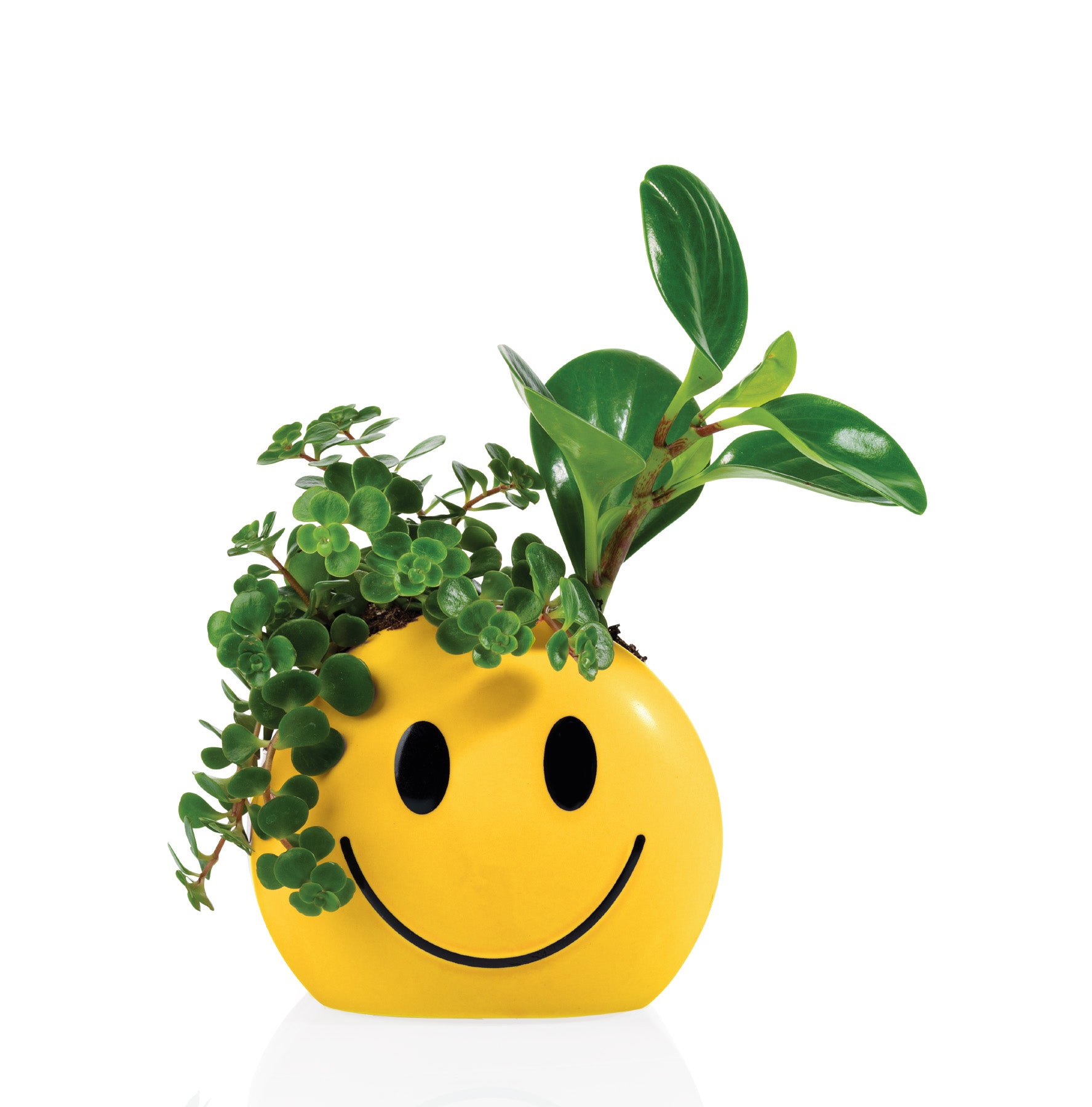 emoji pot plant Mood Pot Sunshine – BITTEN BV