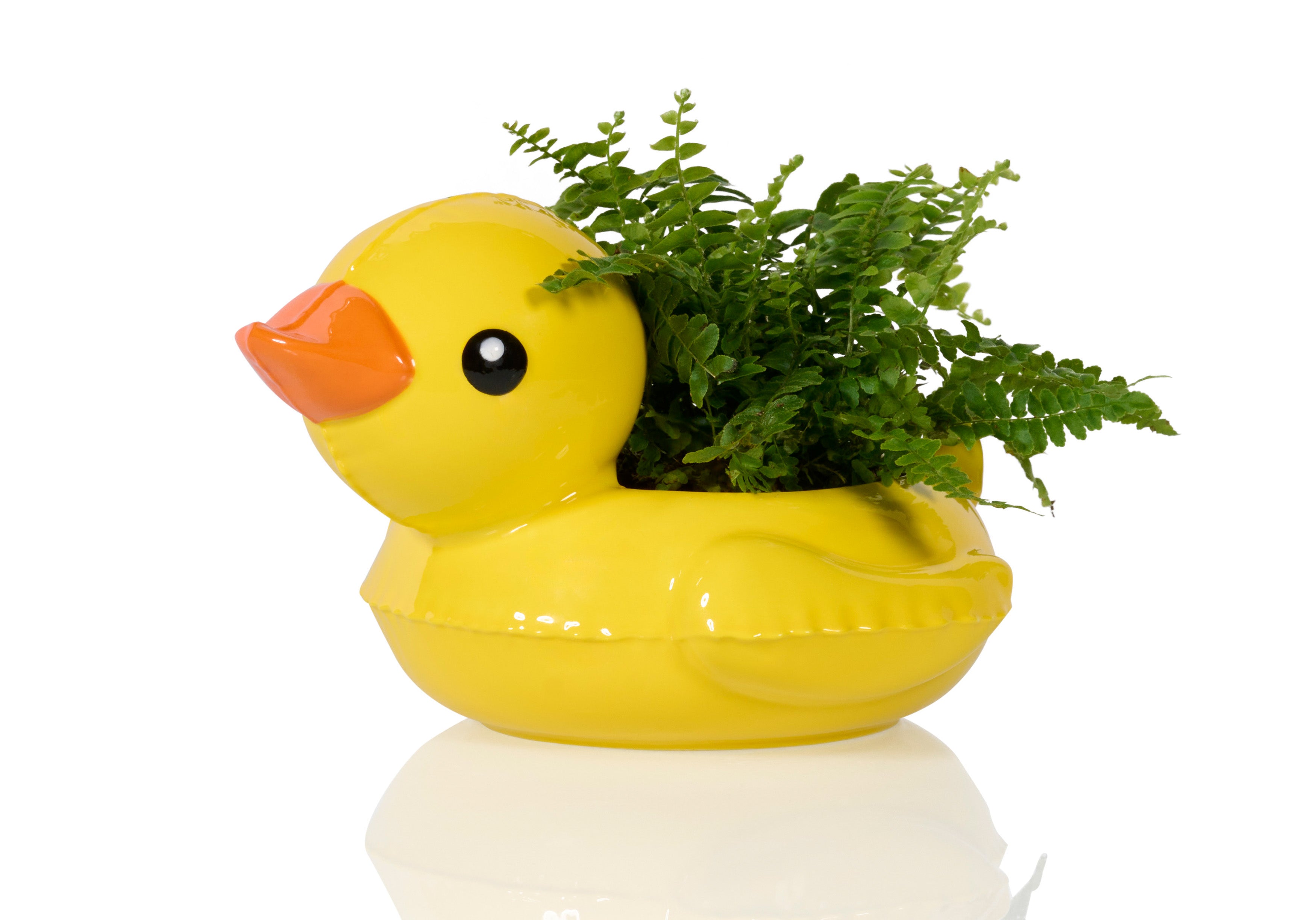 duck plant pot Floaty Duck Pot – BITTEN BV