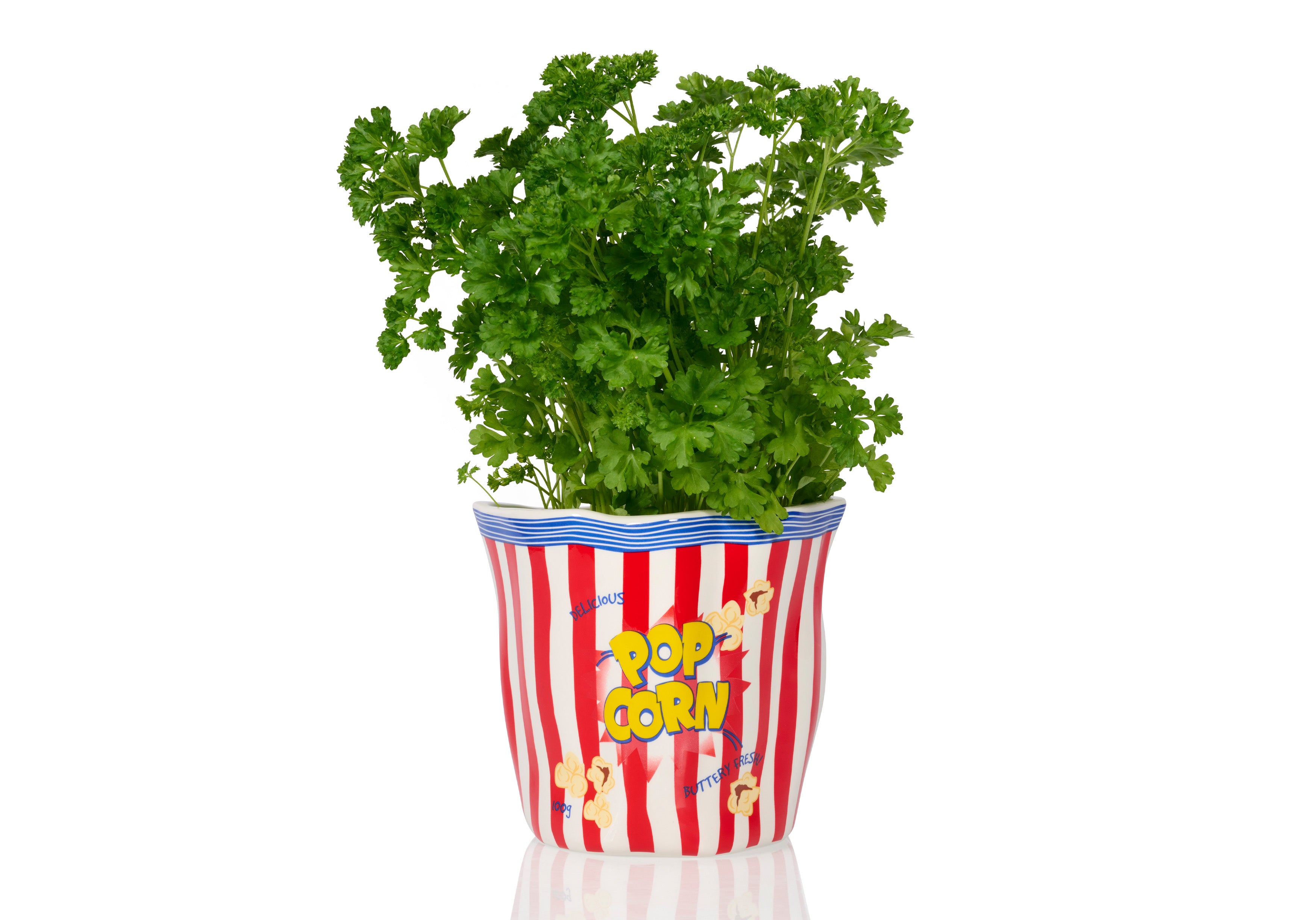 ビトゥン　POPCORN CERAMIC BAG＆TRAYセット Popcorn Ceramic Planter – BITTEN BV