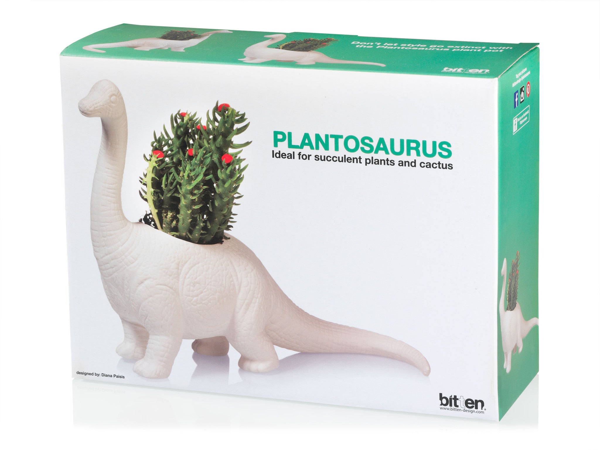 dinosaur succulent pot Plantosaurus Planter – BITTEN BV
