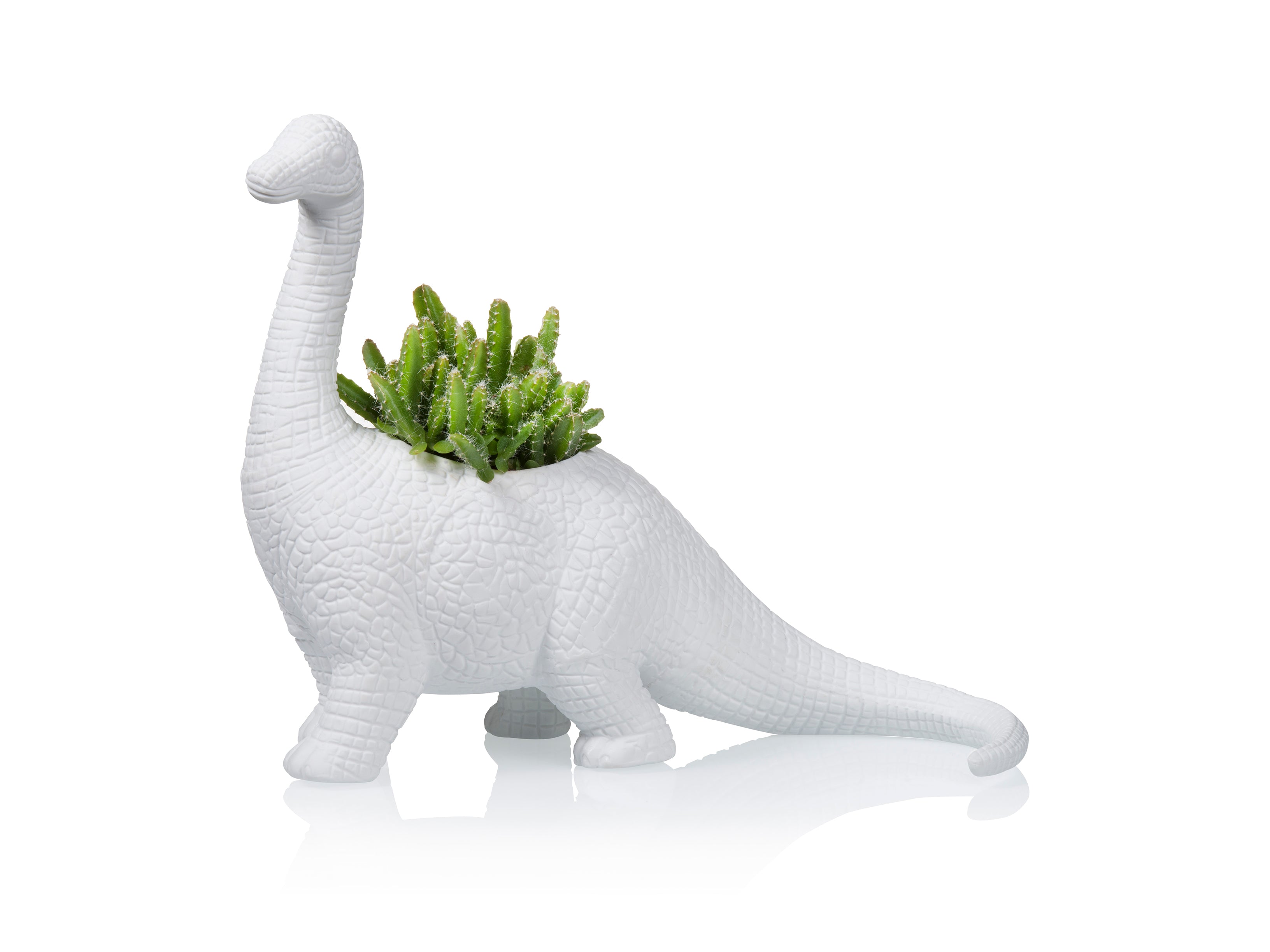 dinosaur planter succulent Plantosaurus Planter