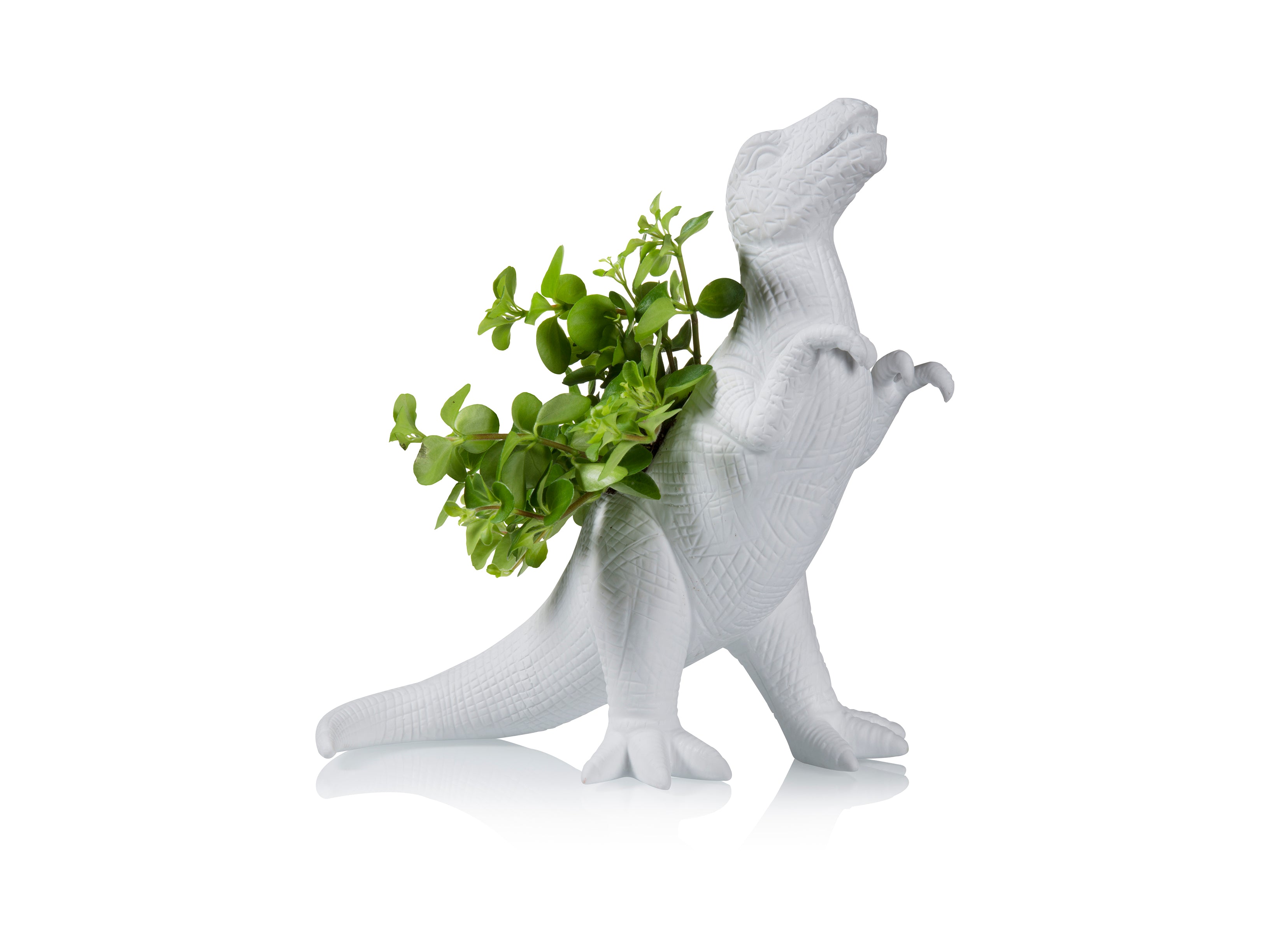 t rex succulent Plantosaurus Rex Planter