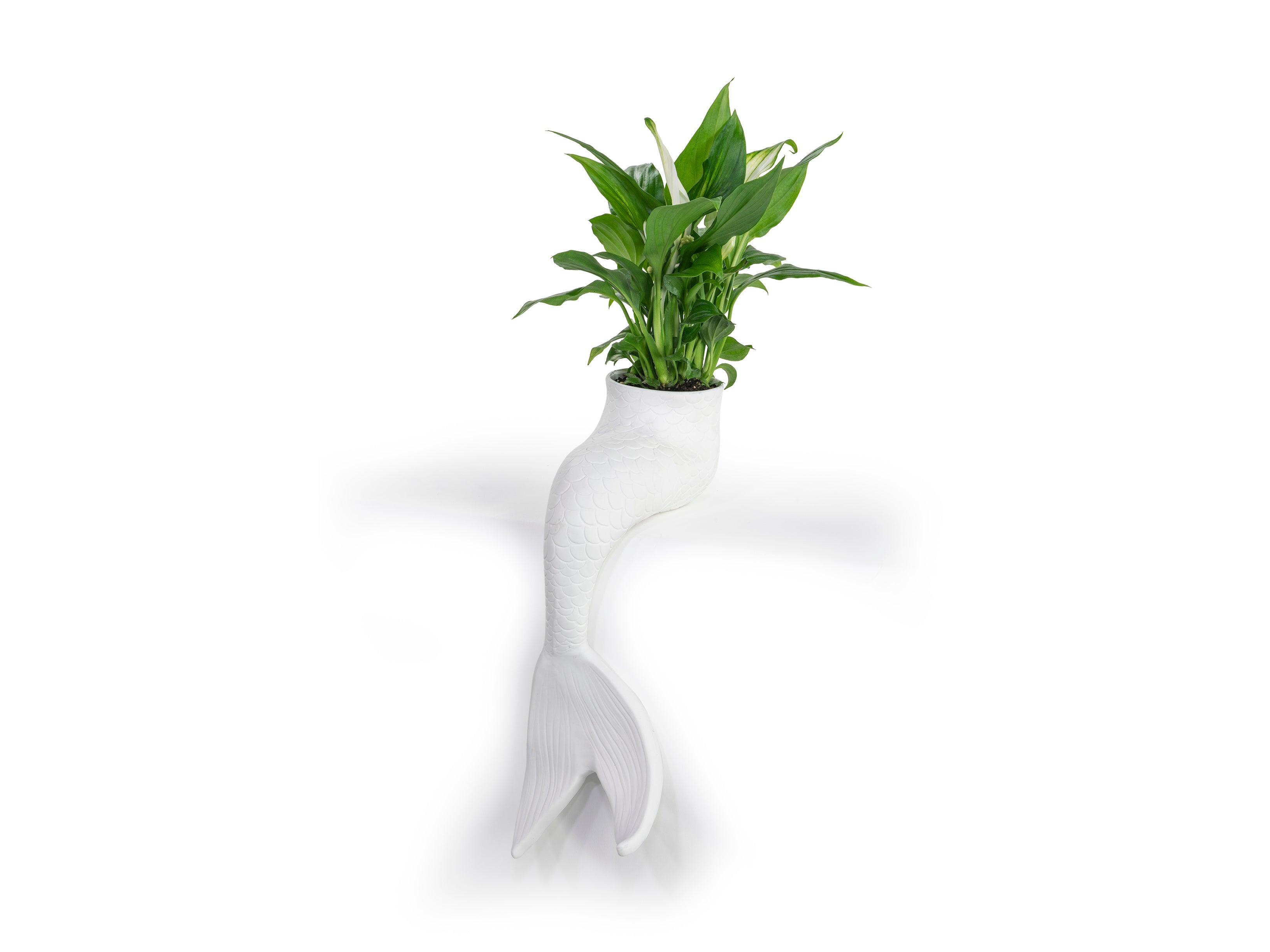 mermaid planter pot Mermaid Planter – BITTEN BV