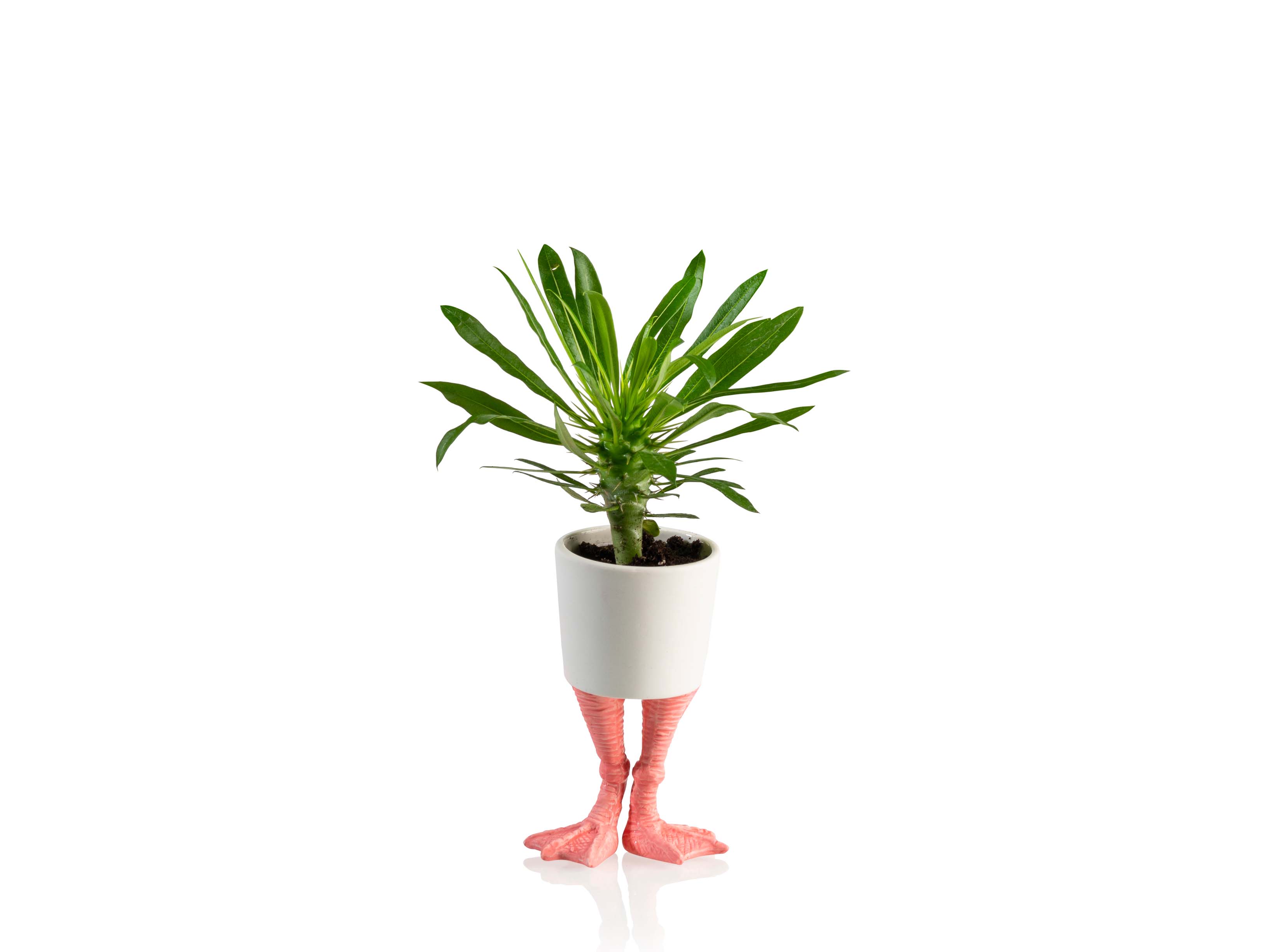 feet planter Flamingo Feet Planter Small – BITTEN BV
