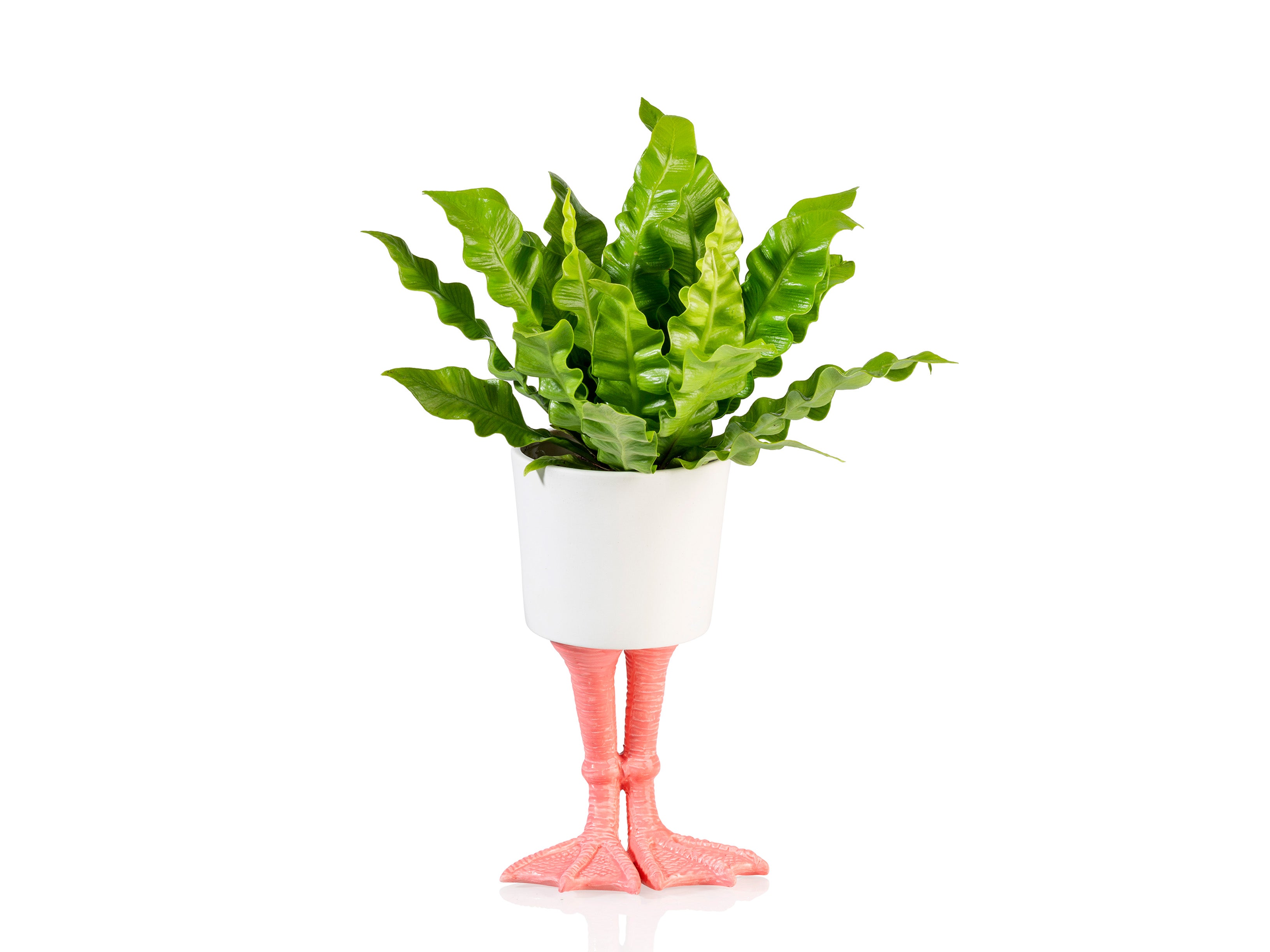 Flamingo Feet Planter Large