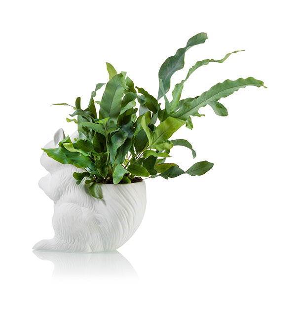 squirrel planter pot Squirrel Planter – BITTEN BV
