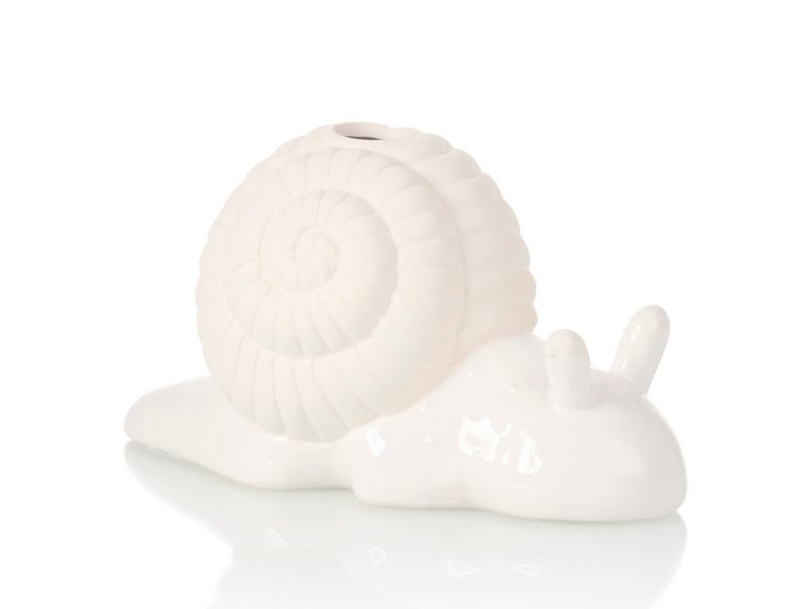 Slow Snail Chia Planter