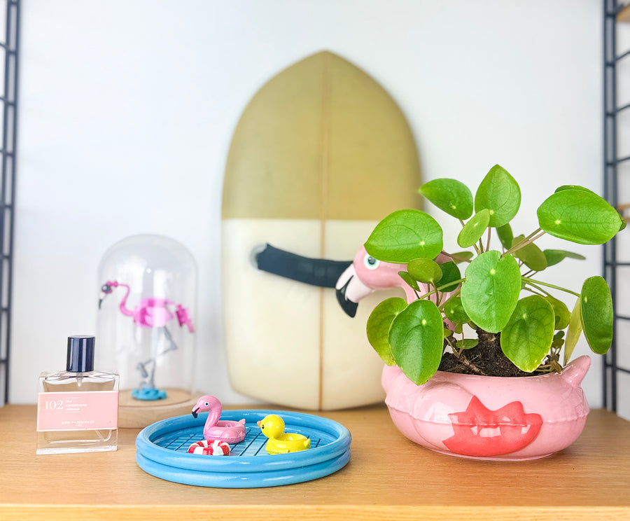 Floaty Pool Trinket Dish