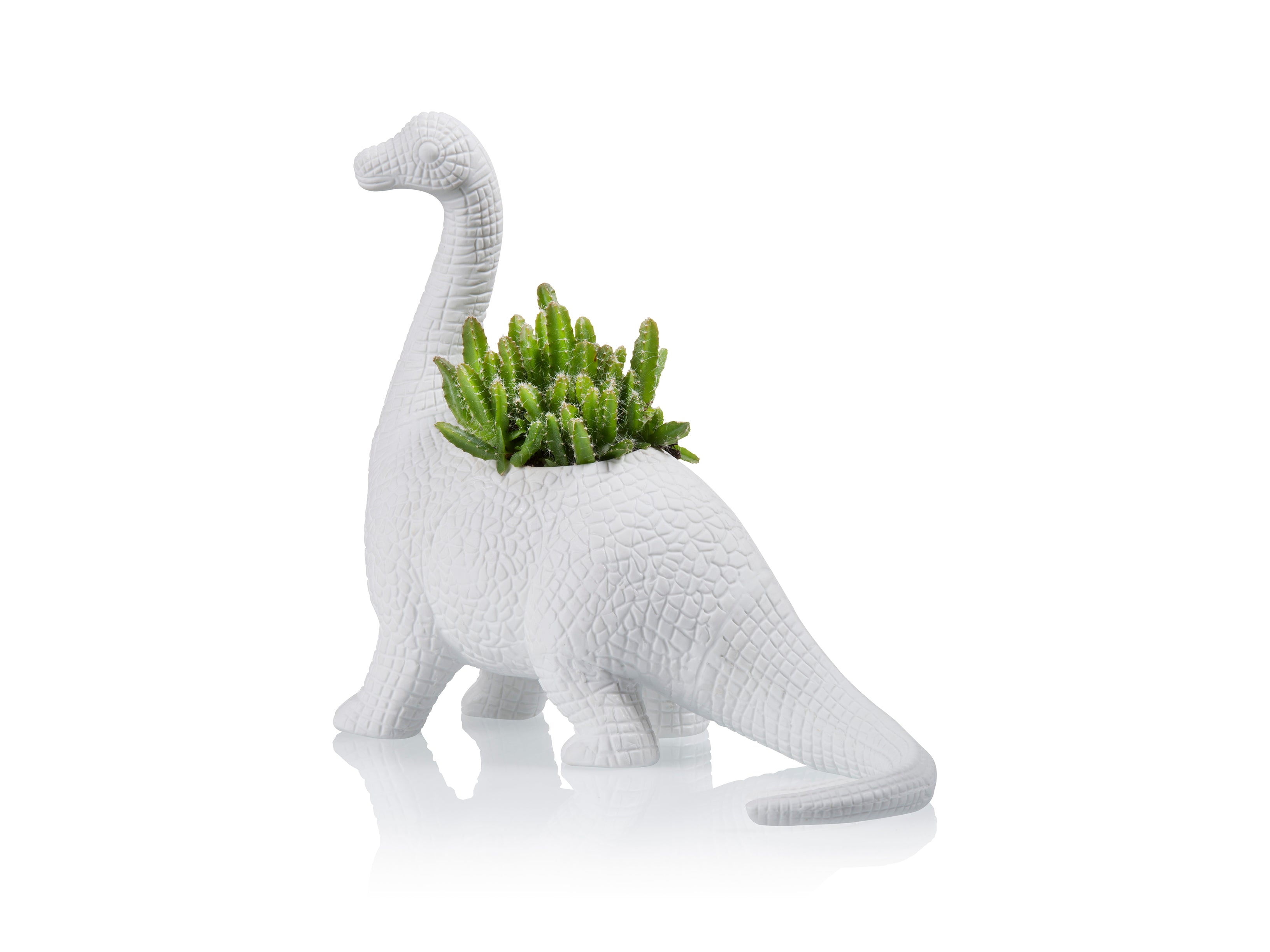 Plantosaurus Planter  BITTEN BV