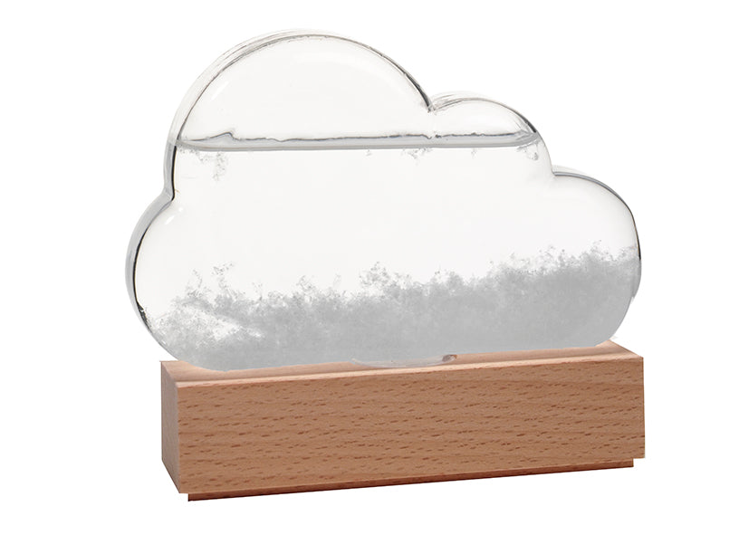 Storm Cloud Weather Predicting Station