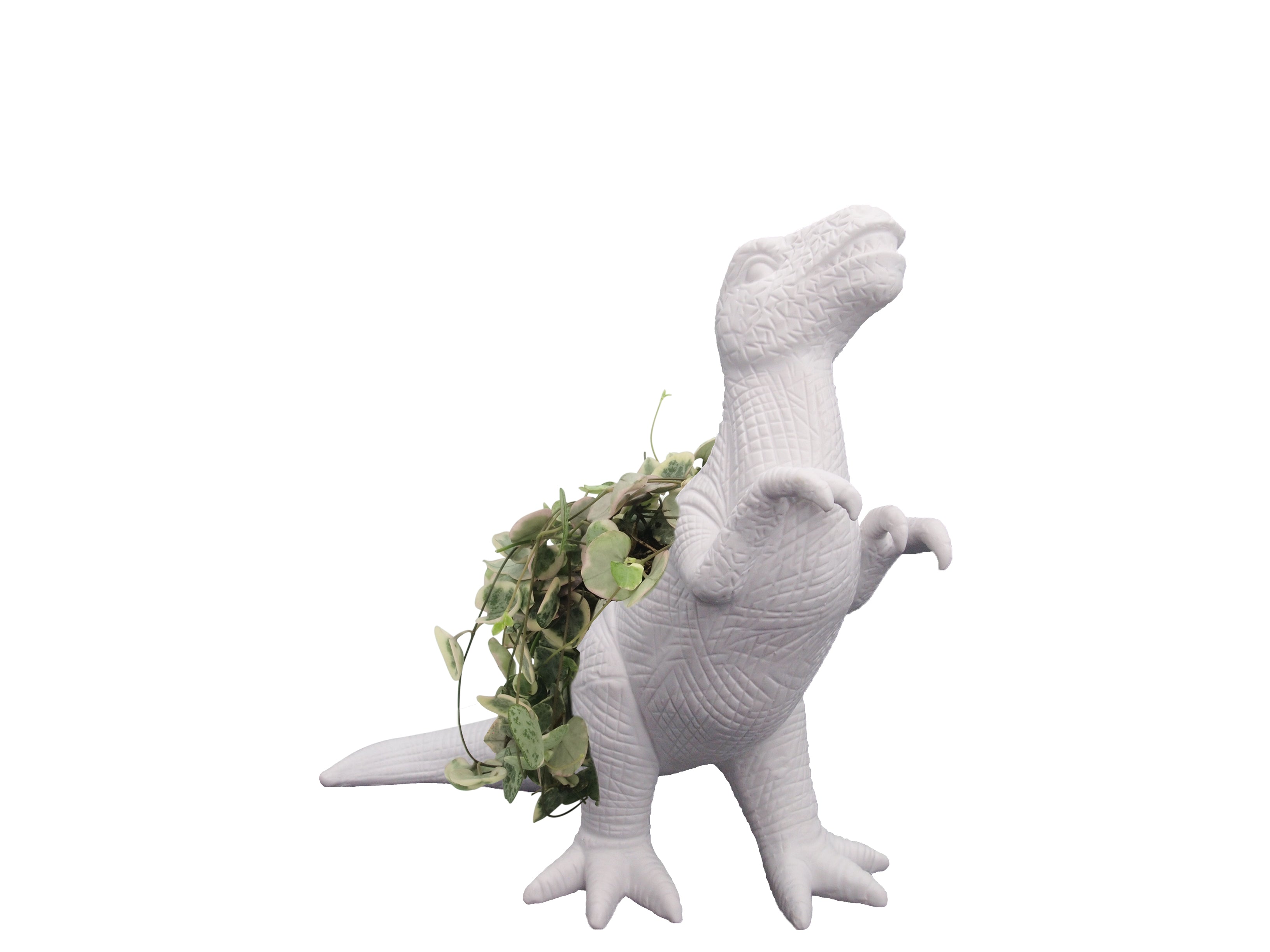 t rex plant pot Plantosaurus Rex Planter – BITTEN BV