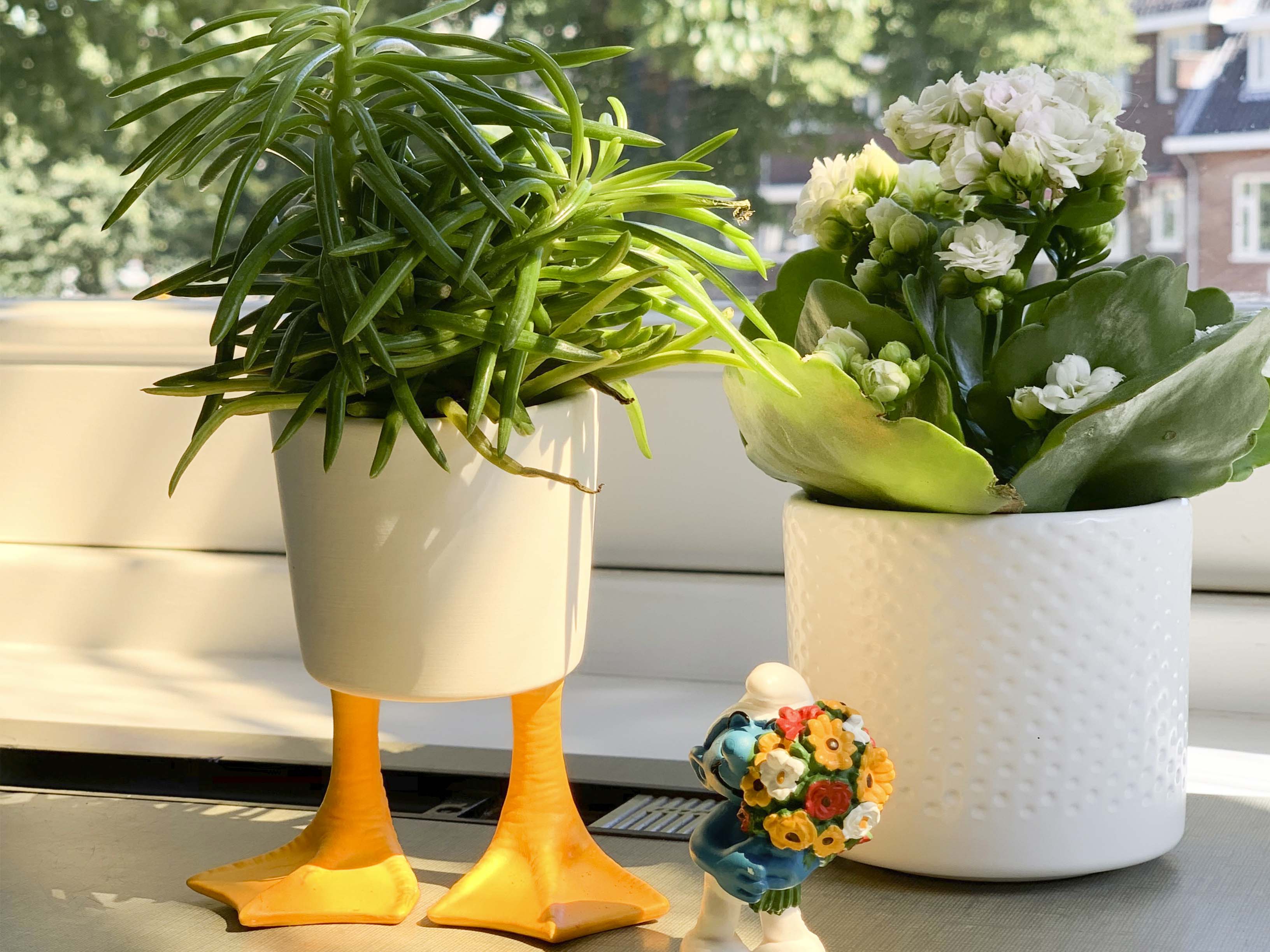 duck feet planter Duck Feet Planter Small