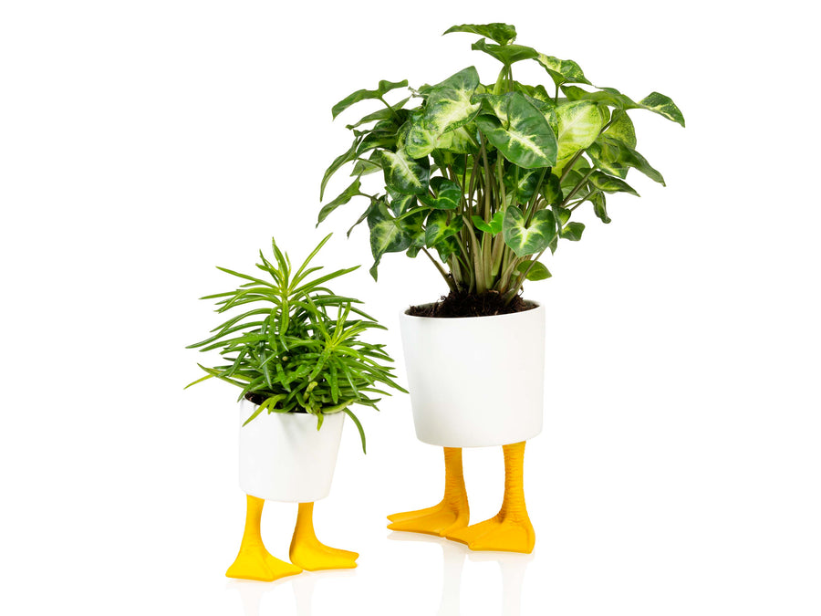indoor planter with feet Duck Feet Planter Small – BITTEN BV