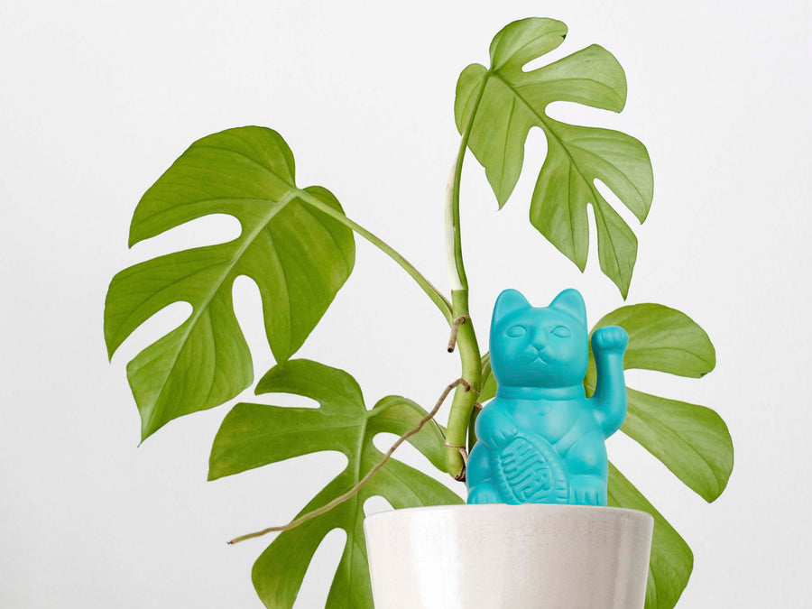 self watering cat planter Self Watering Lucky Cat Blue – BITTEN BV