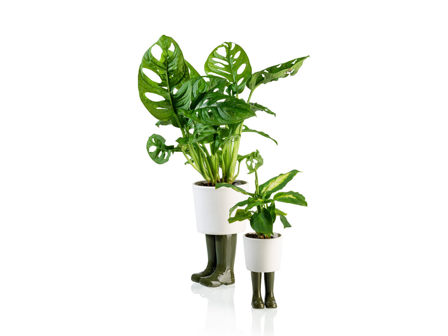 indoor plants wellington Wellington Planter Small Green – BITTEN BV