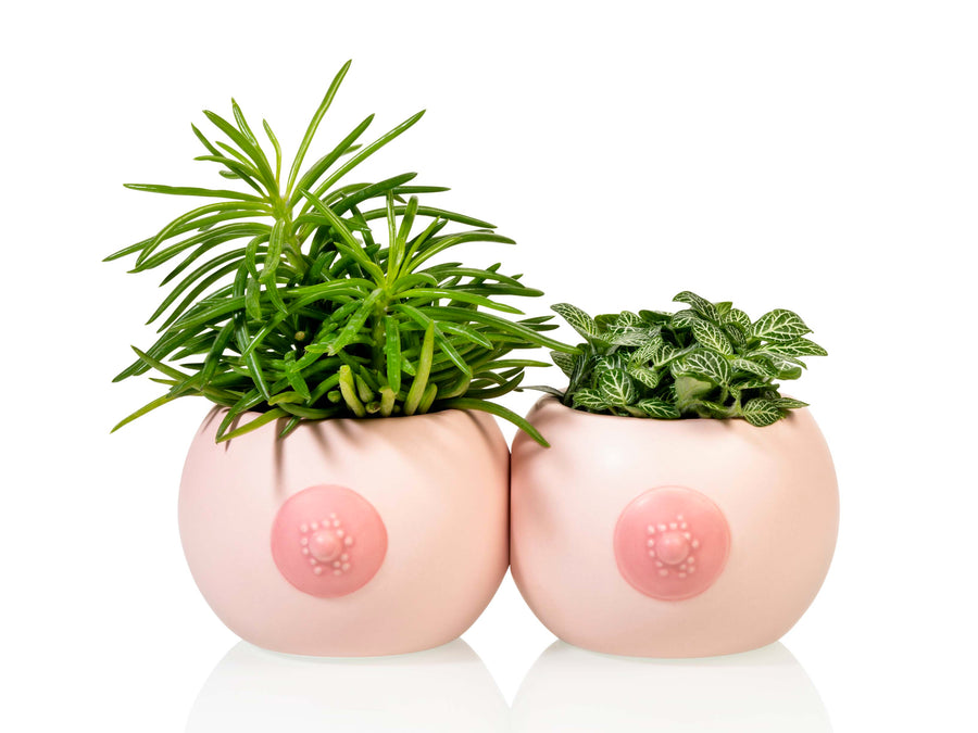 Boob Cups, set of 2 cups