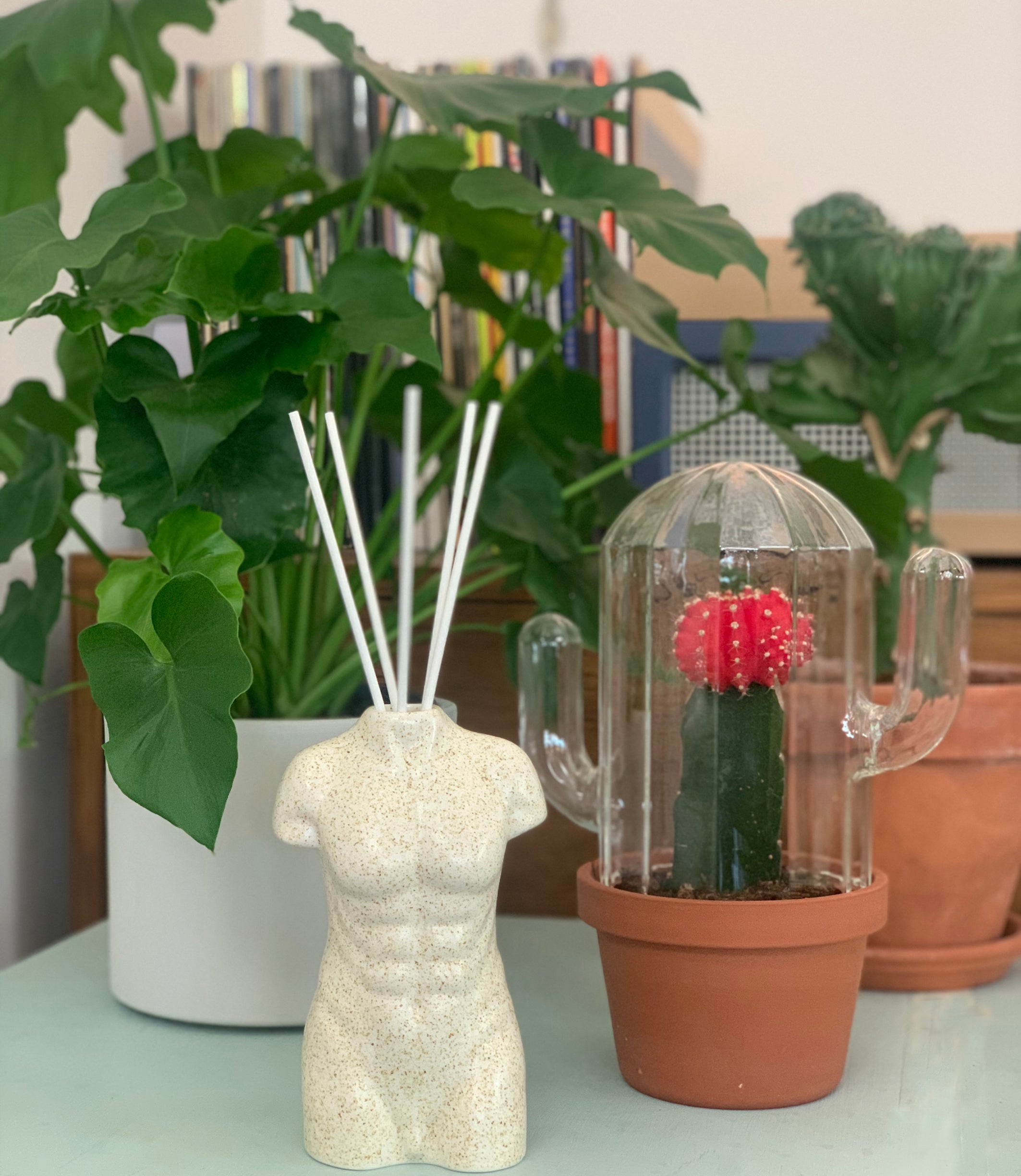 Adonis Home Oil Diffuser with 40 ml oil + 5 sticks – BITTEN BV