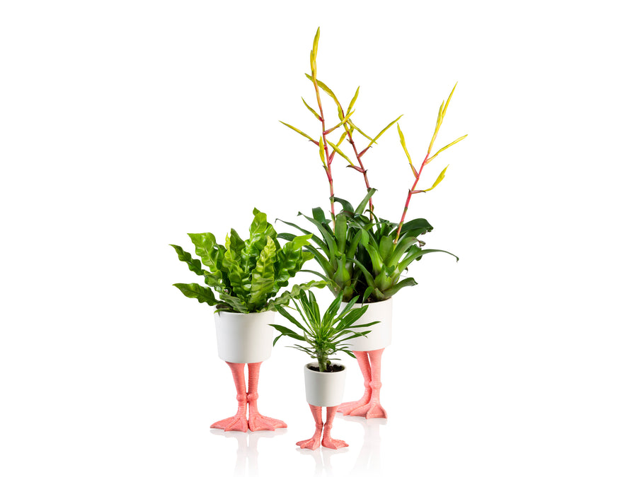 indoor planter with feet Flamingo Feet Planter Small