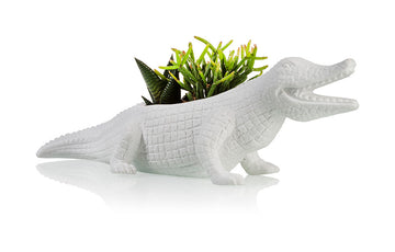 Crocodile Planter